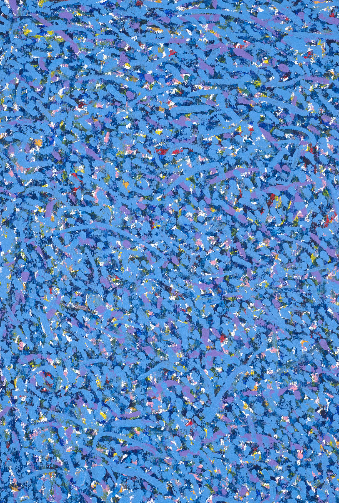 Gleb Skubachevsky, Map of the Universe, 1 , 2024