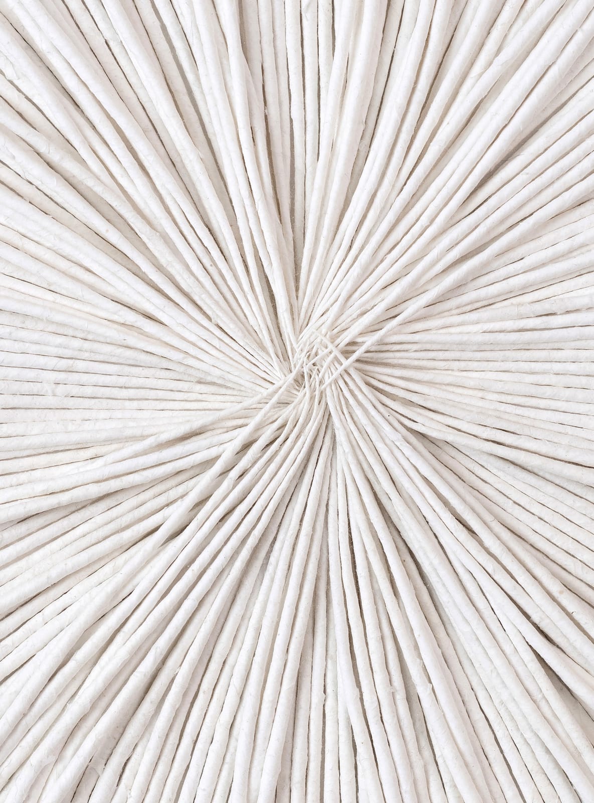 Gleb Skubachevsky, Alien Creature, 8, 2024