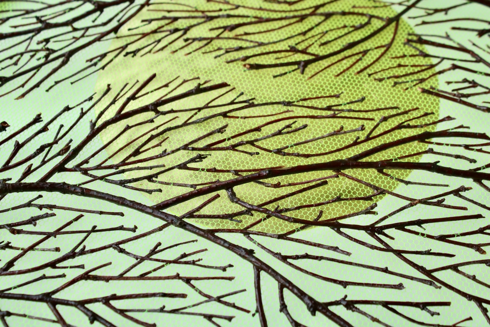 Olga Prinku, Embrace, 2025