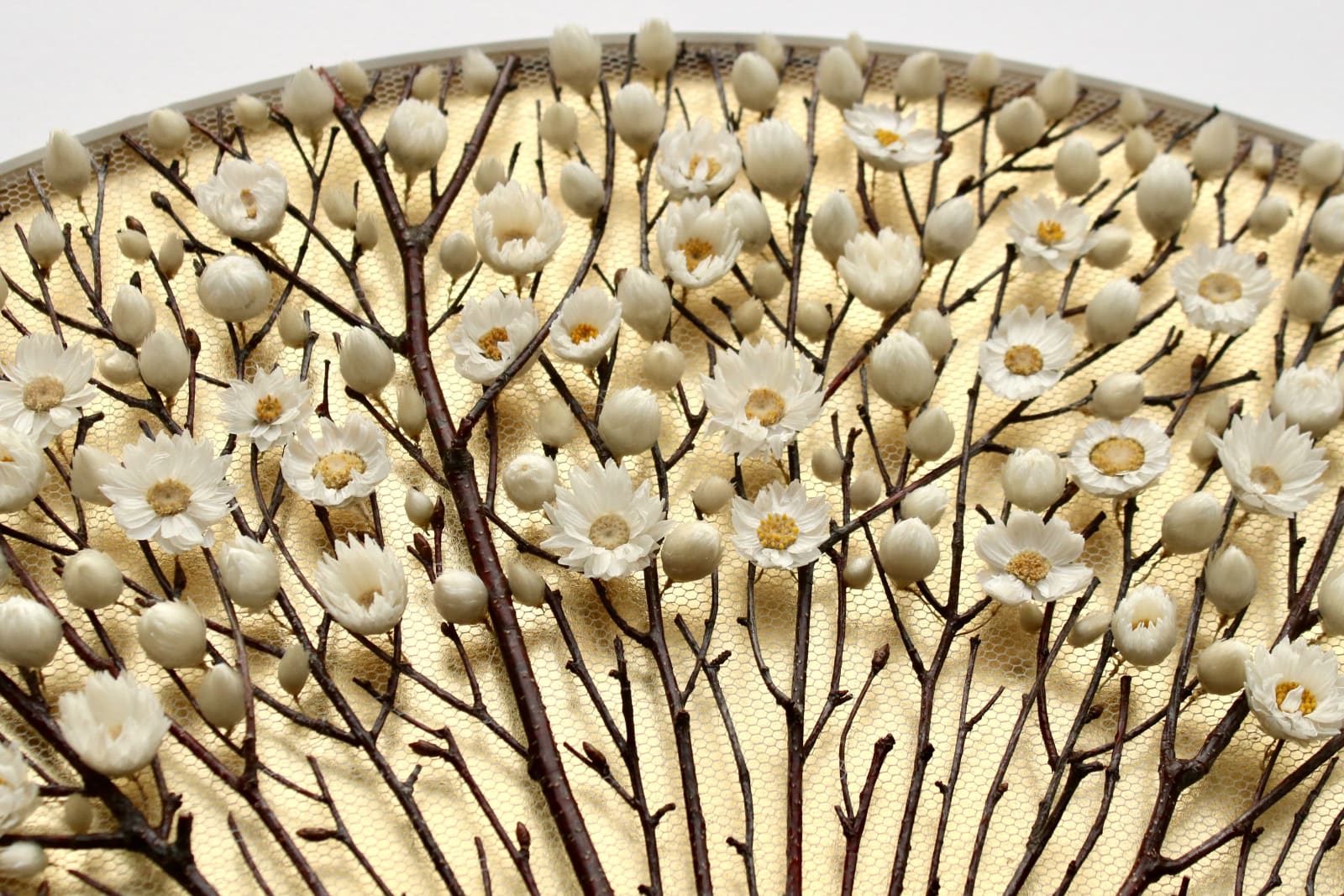 Olga Prinku, From Within, 2024