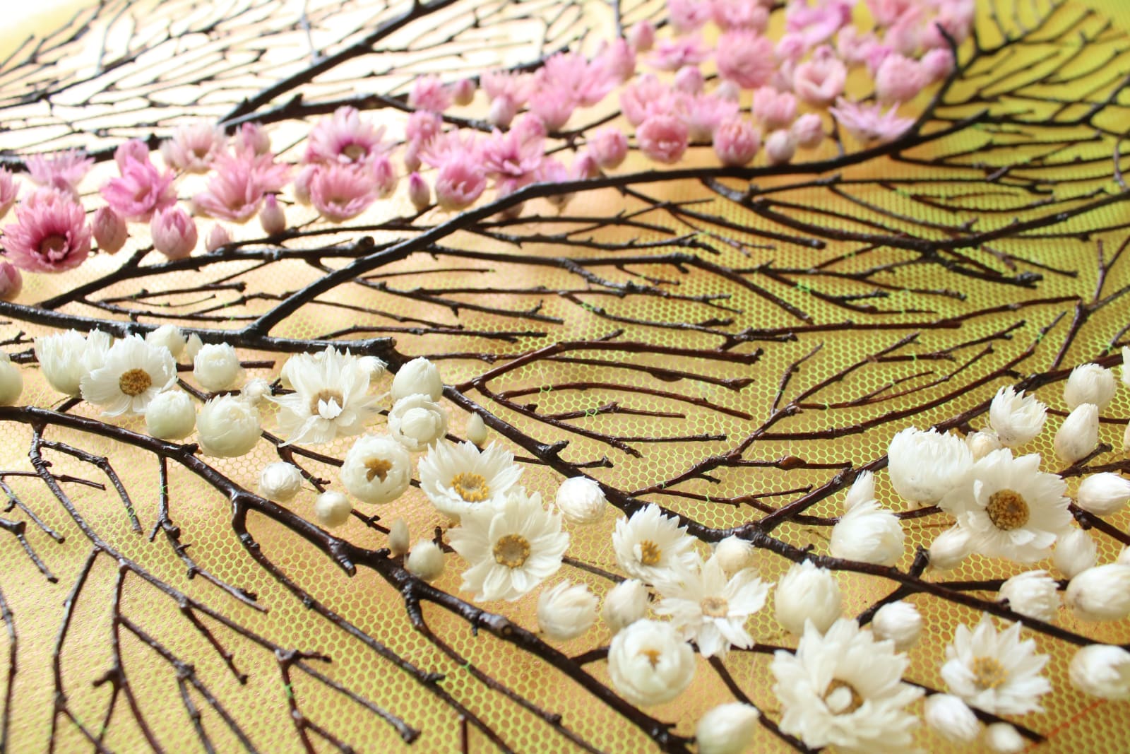 Olga Prinku, Branchscape (Gazing), 2025