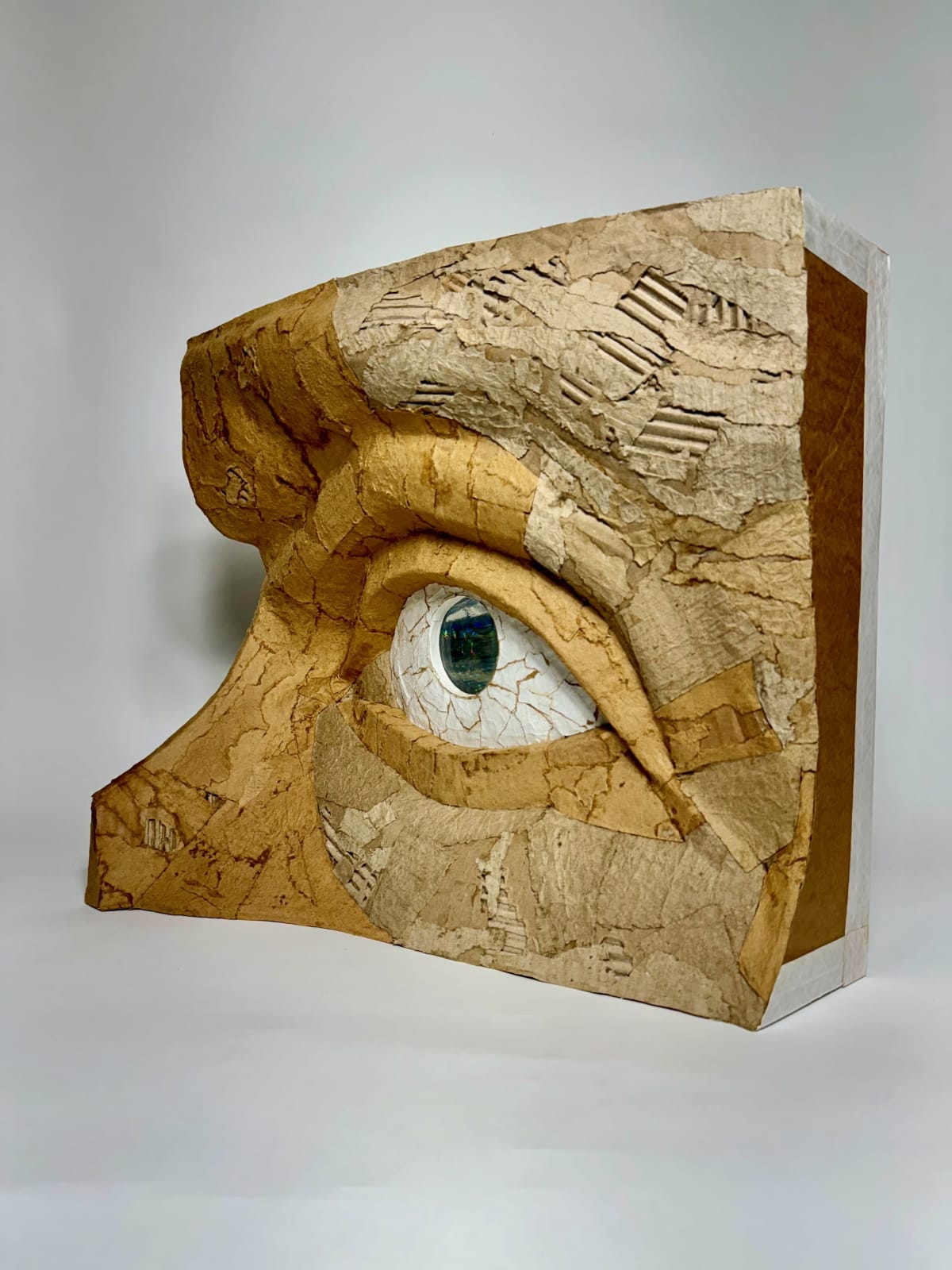 Evan Reed, The Predator Eye, 2024