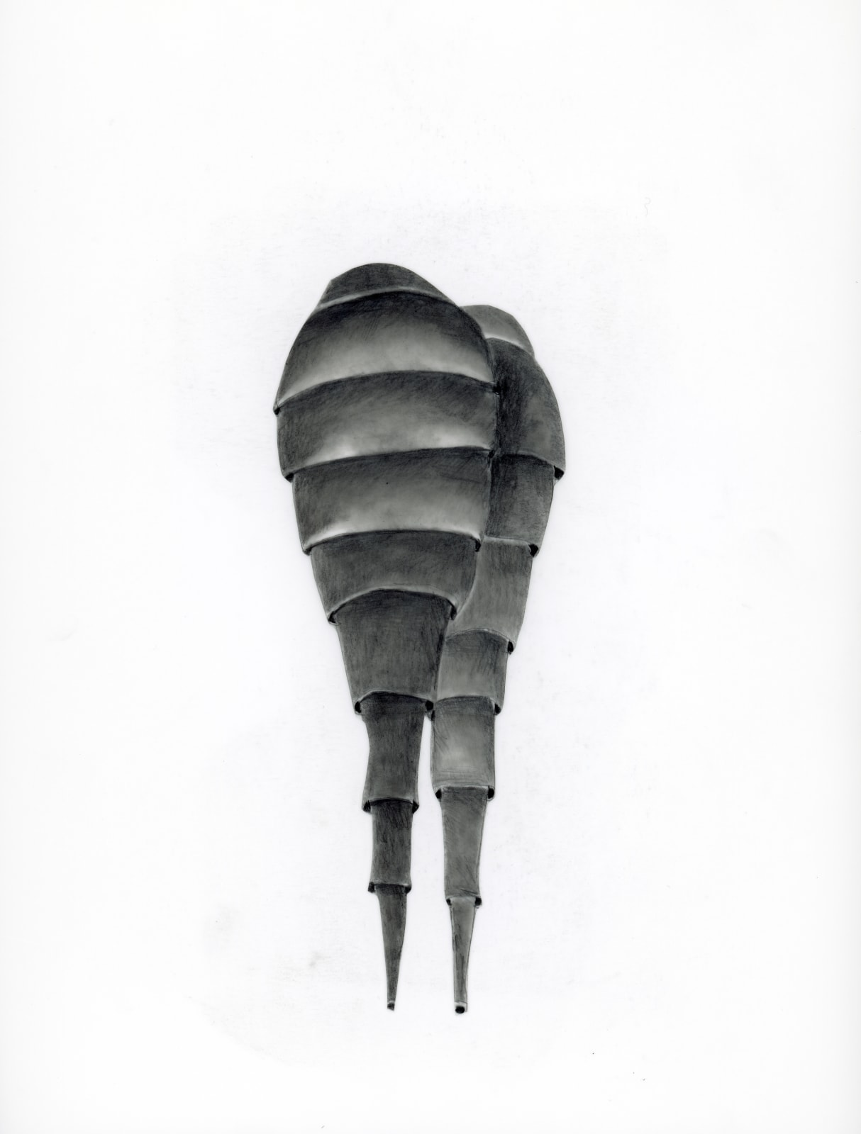 Kendall Buster, 2000-2023