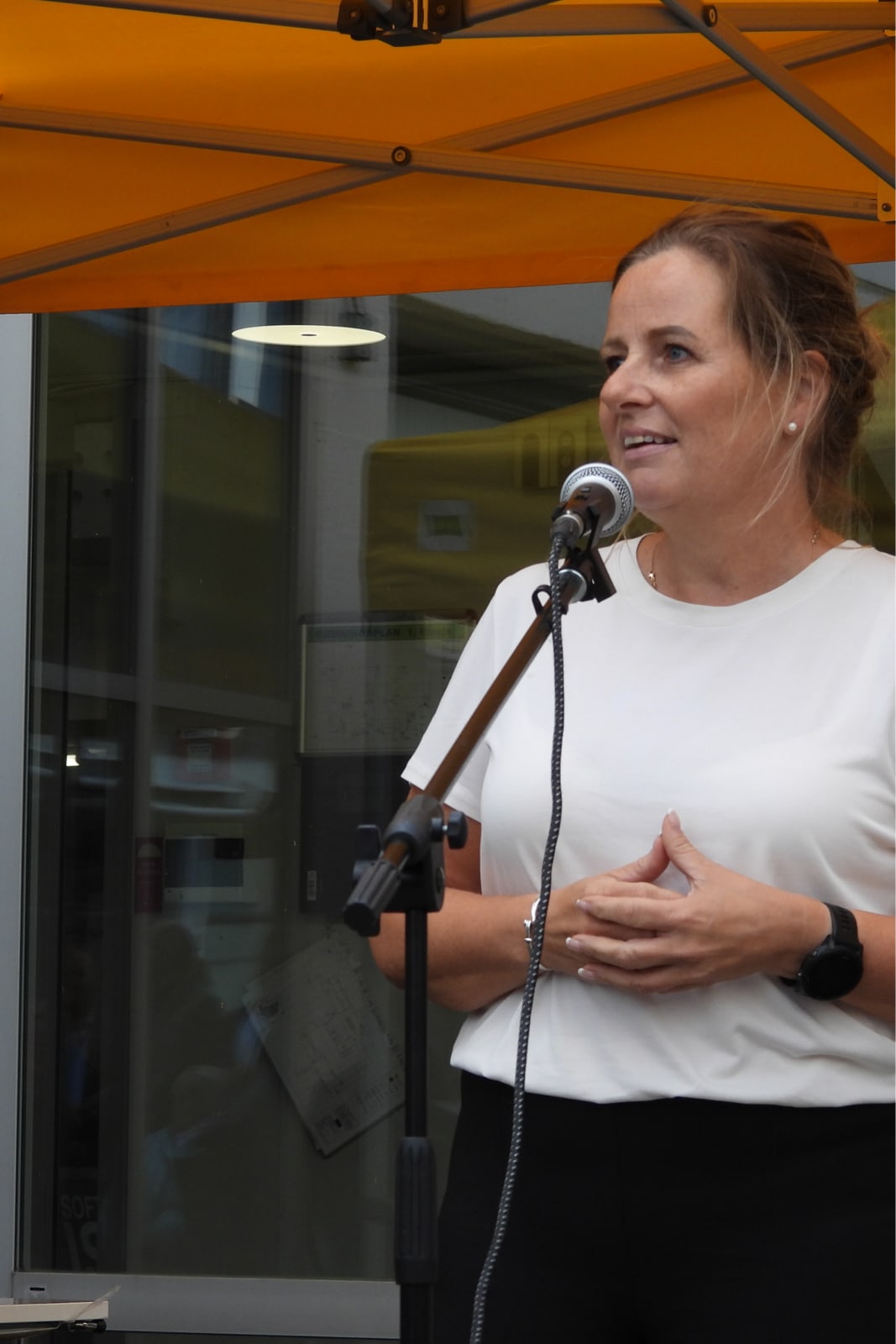 Anita North, Byråd for kultur og næring