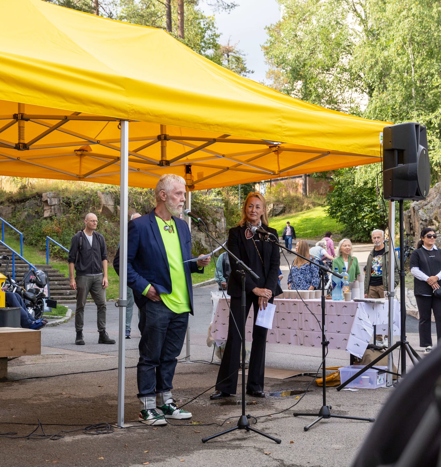 Lars Sture, Kunstnerforbundet og Helene Gulaker Hansen, Ferd Art Programme
