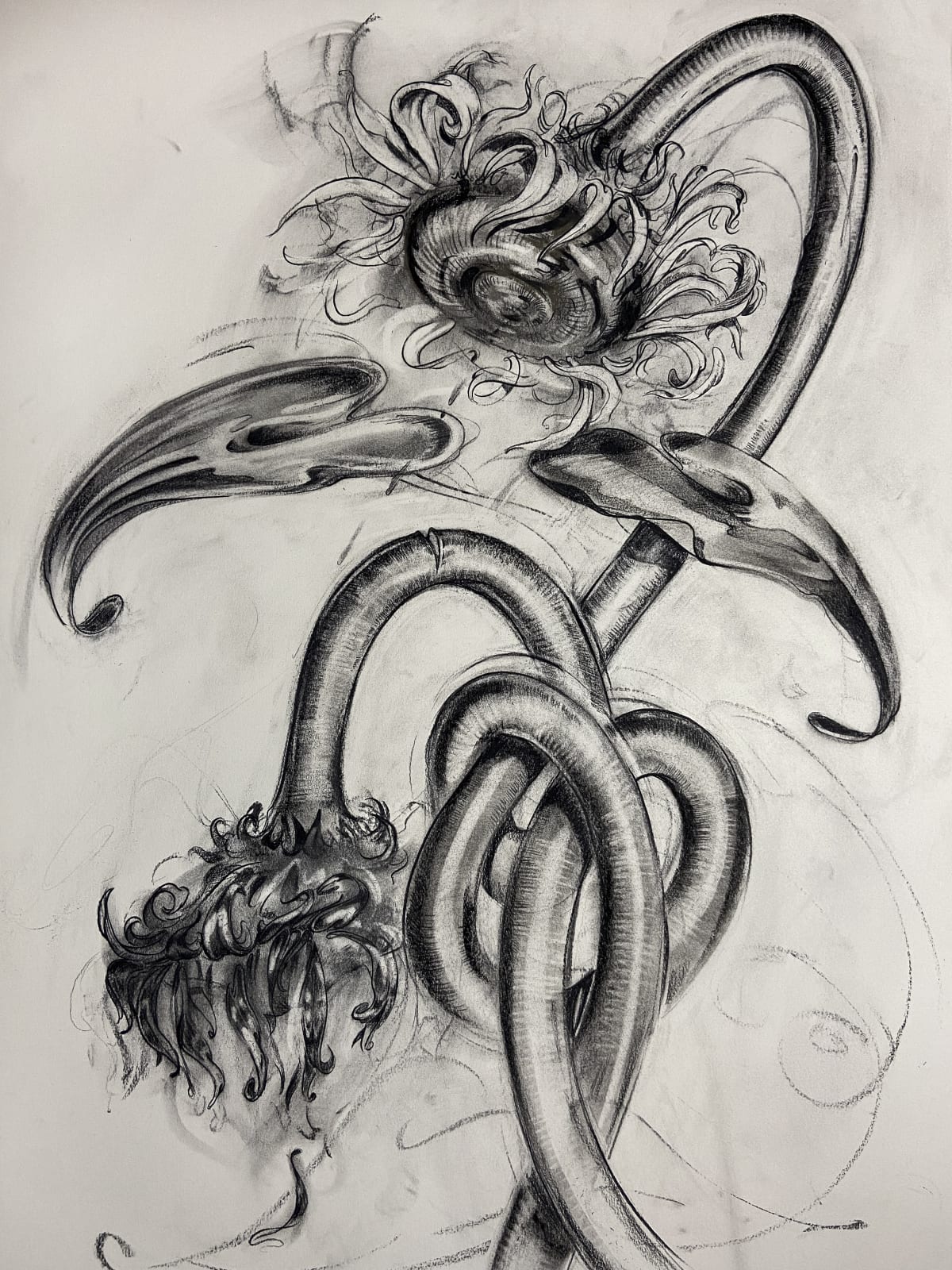 GABE CORTESE Tangled Sunflower, 2021
