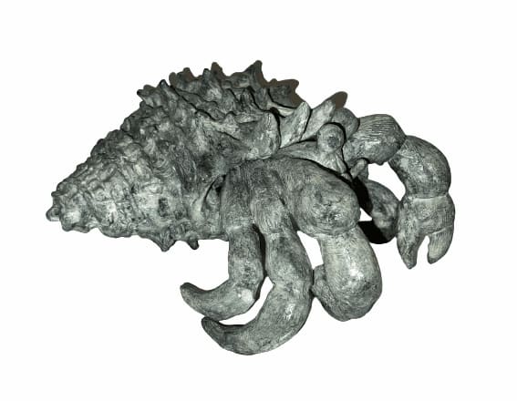 Steven John Wilkins, Pair of Hermit Crabs