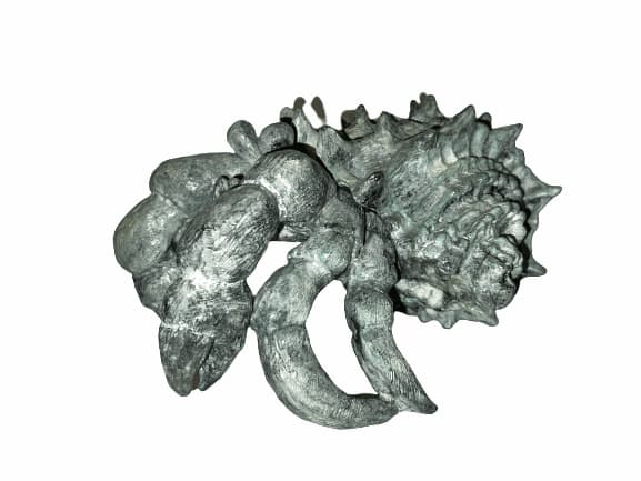 Steven John Wilkins, Pair of Hermit Crabs