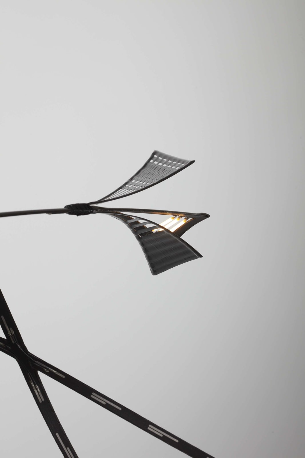 Marleen Kaptein, Parallax II, 2022