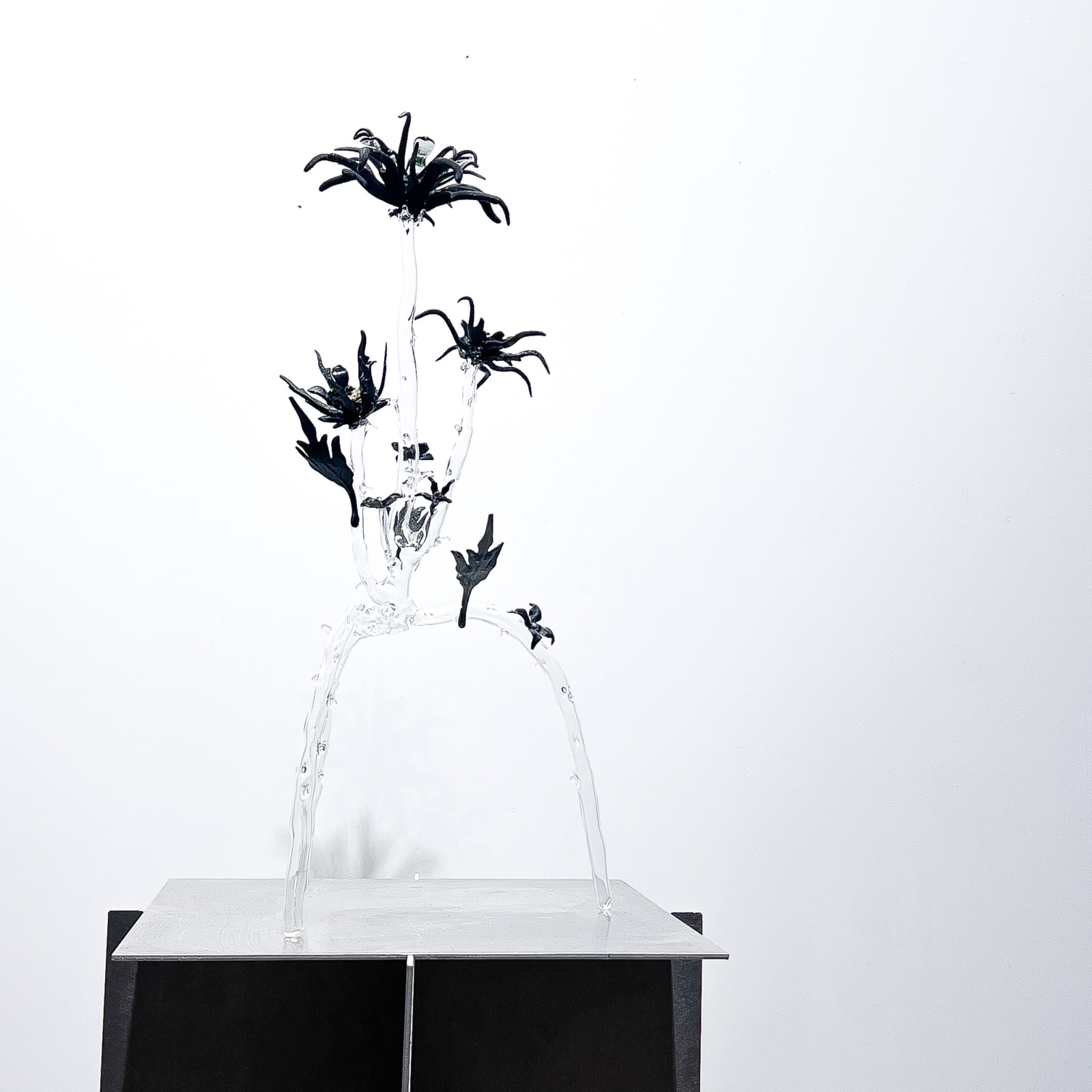 Clara Schweers, Affin Sp.003, 2025