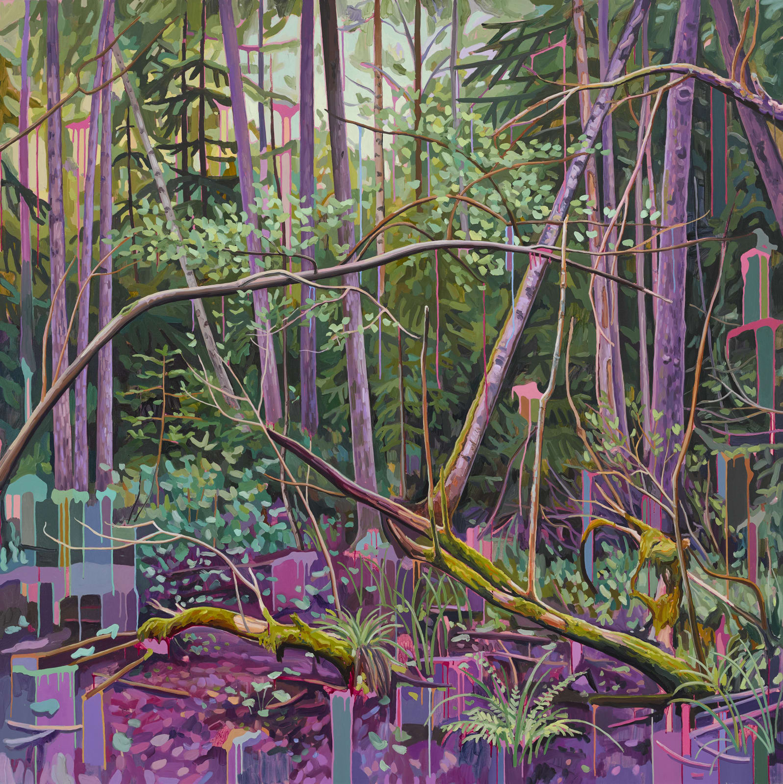 Cecilia Danell, Possibility Space, 2024