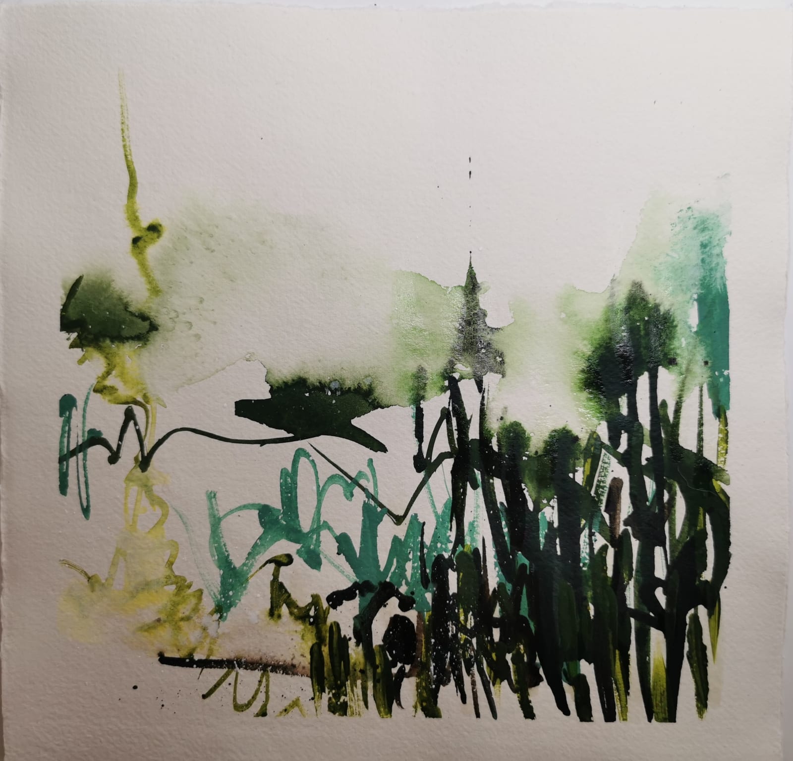 Designed Forest (Series), 2024