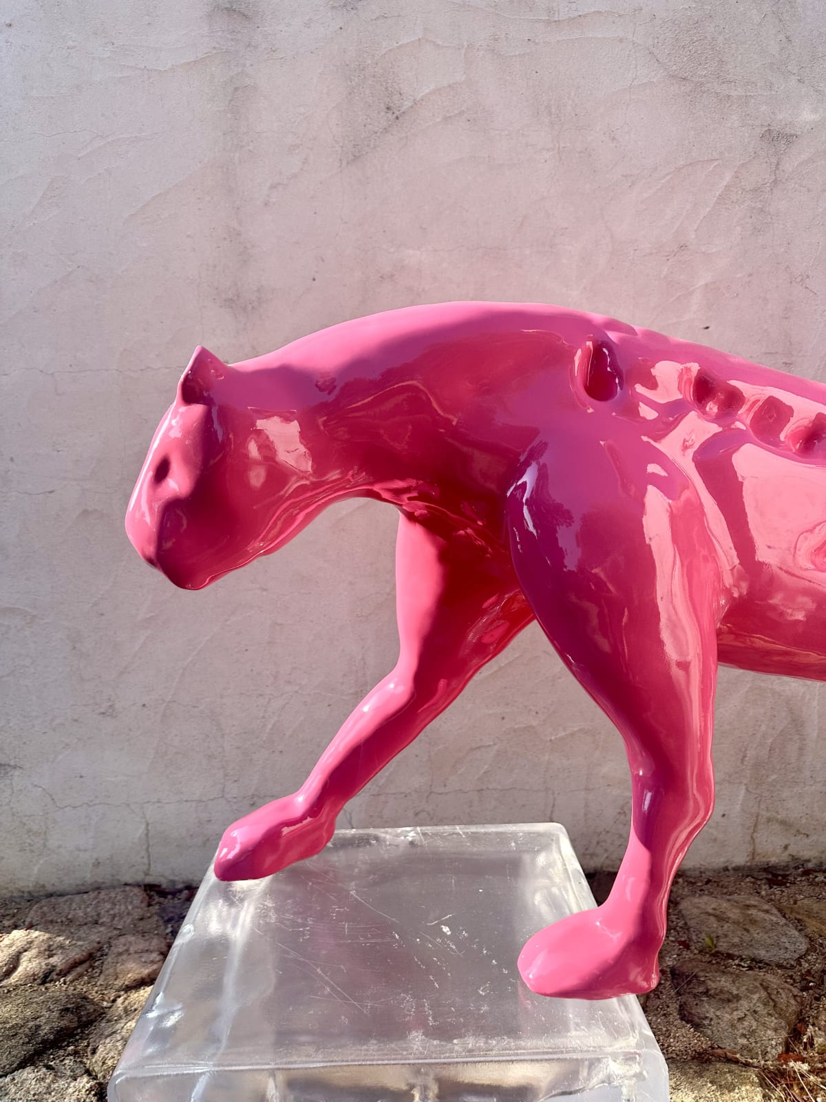 Gigi Rigamonti, HOT PINK PANTHER, 2025