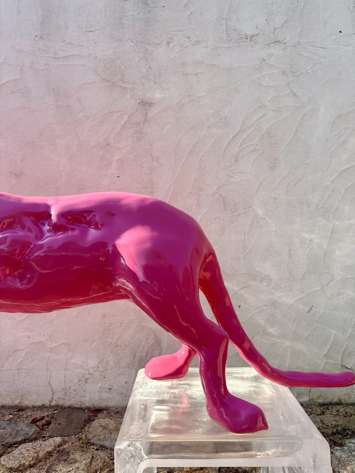 Gigi Rigamonti, HOT PINK PANTHER, 2025