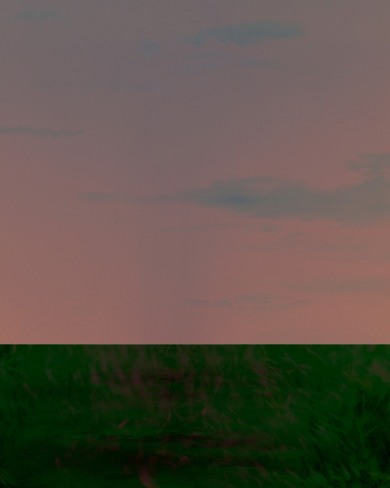 Andy Jon Morris, Colour Fields No. 5, 2024