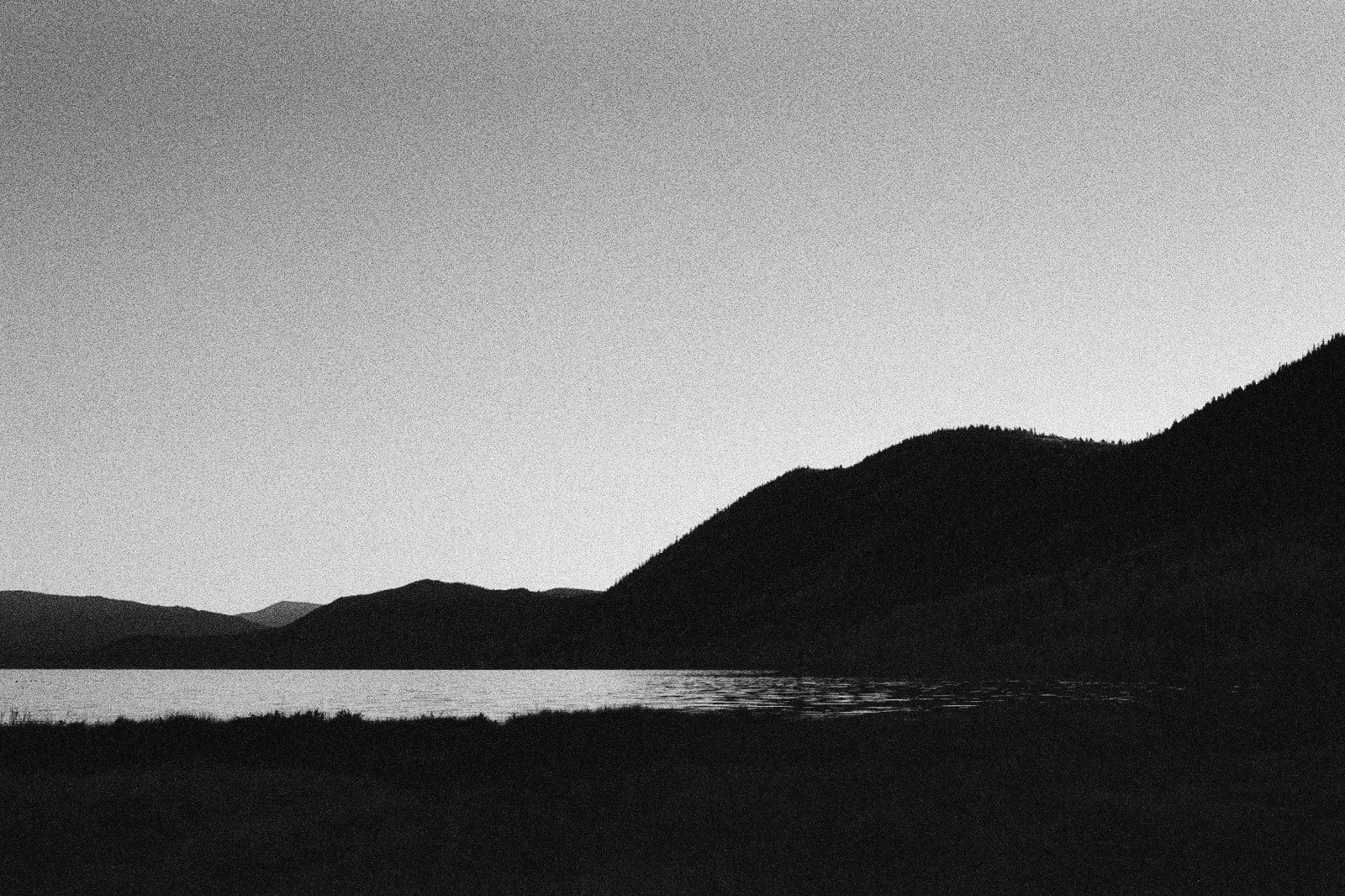 Andrew Martin, Untitled (Fish Lake, 1), 2023