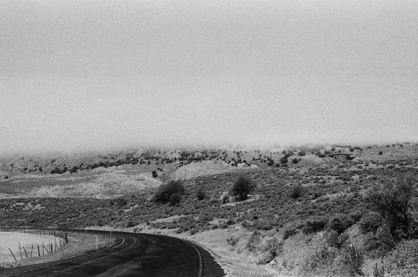 Andrew Martin, East Canyon, 2024