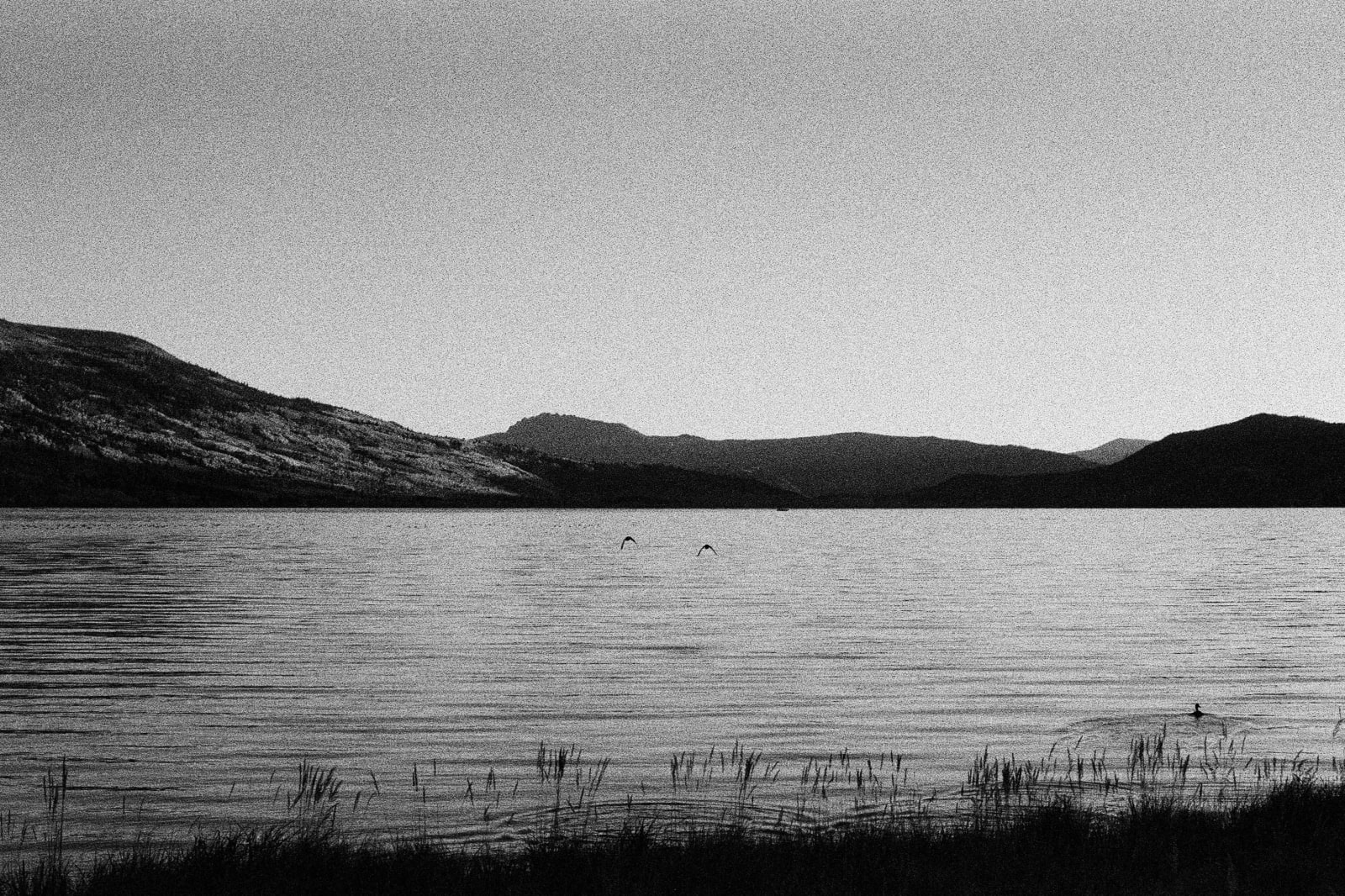 Andrew Martin, Untitled (Fish Lake, 3), 2023