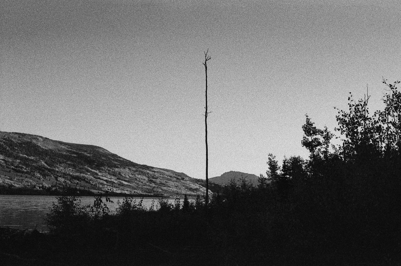 Andrew Martin, Untitled (Fish Lake, 4), 2023