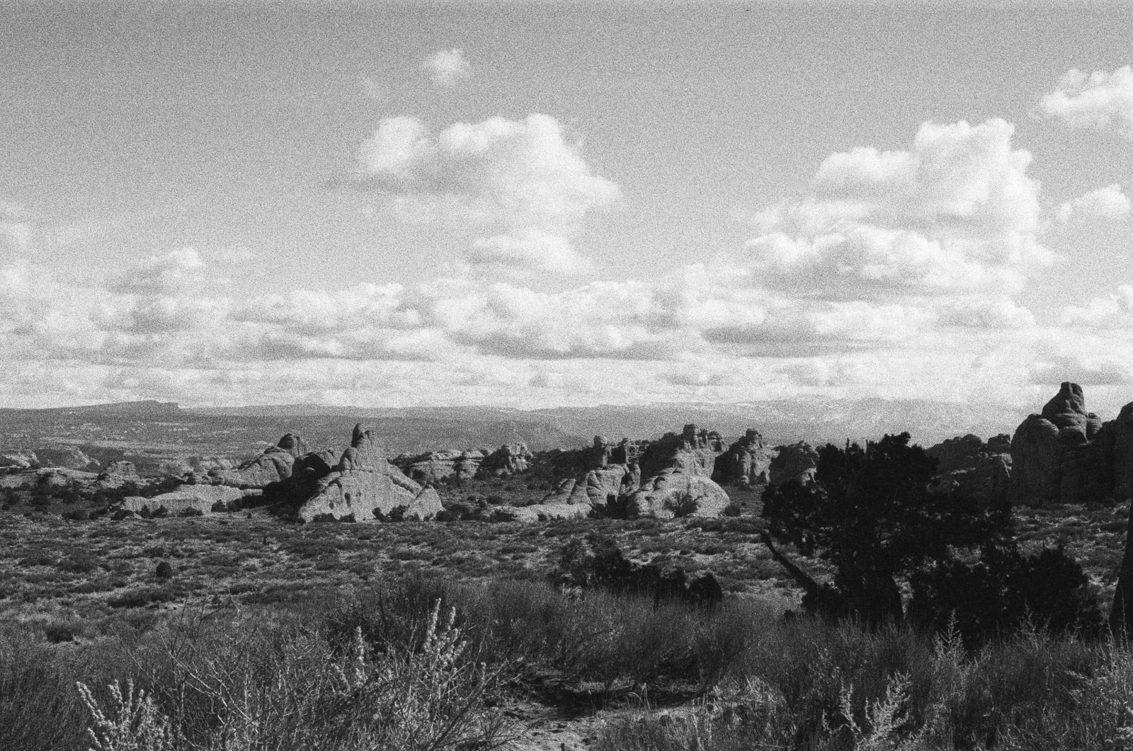Andrew Martin, Untitled (Winter Arches, 2), 2024