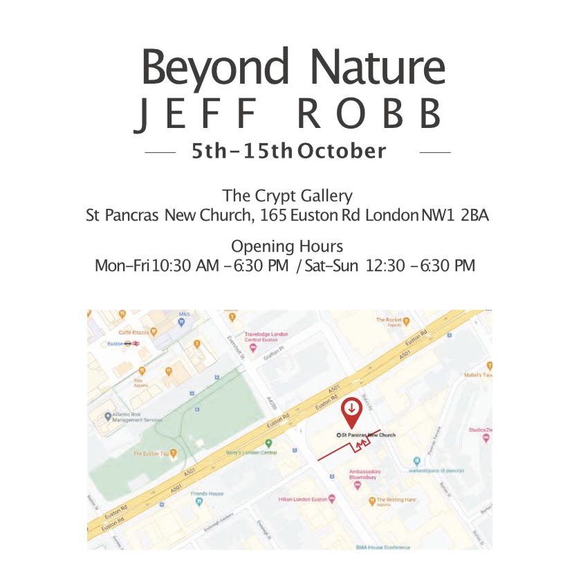 Jeff Robb : Beyond Nature