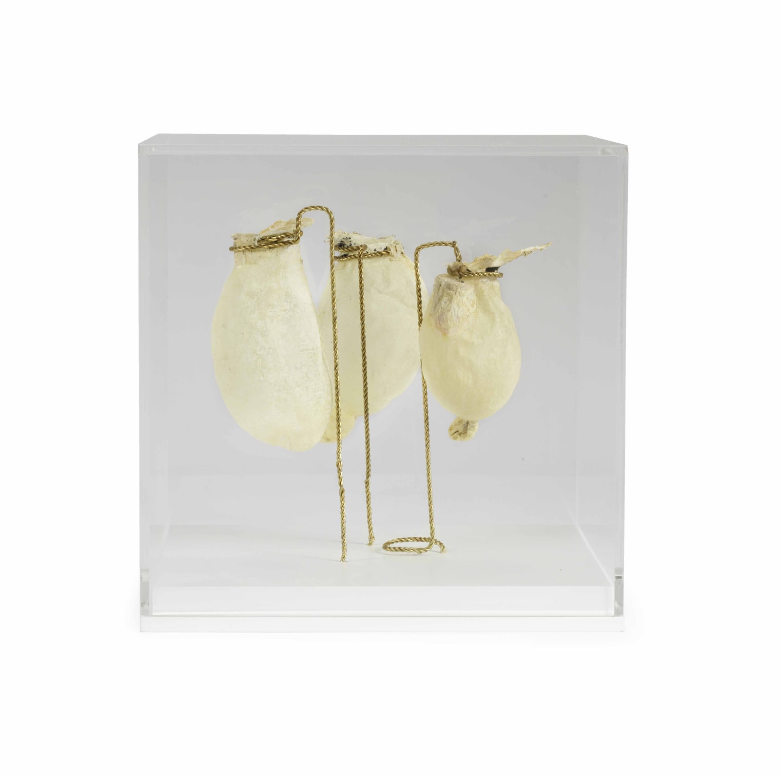 Elpida Hadzi-Vasileva, The Three Graces, 2018 | £2,500