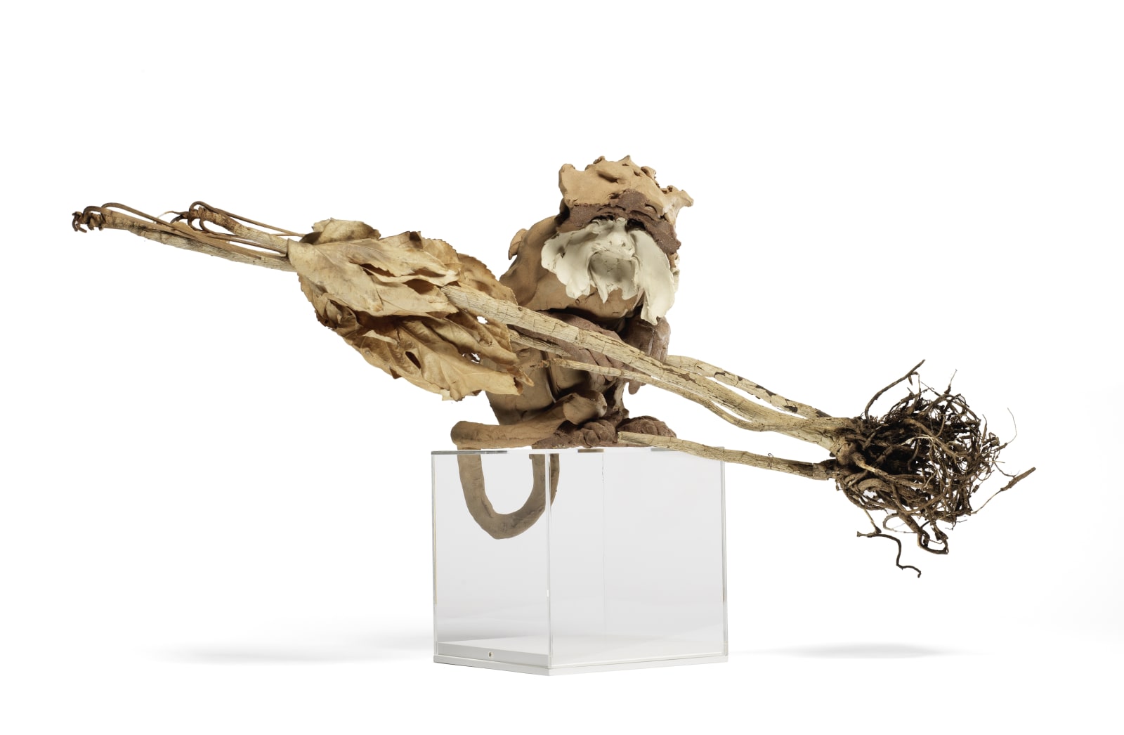 Stephanie Quayle, Emperor Tamarin, 2015 | £3,200