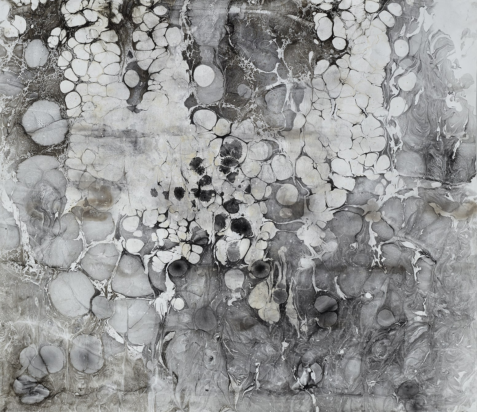 Anya Gallaccio, Untitled, Oceans 4, 2025