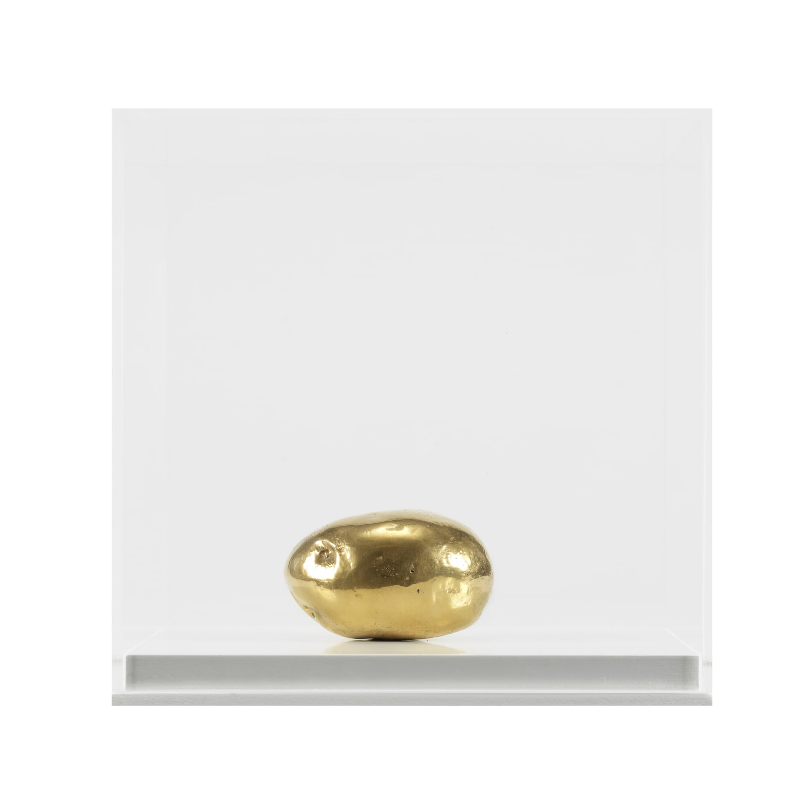 Subodh Gupta, Untitled (One Gold Potato), 2016 | £17,000