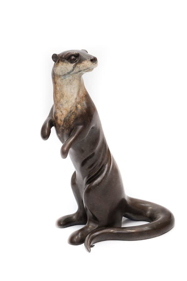 David Meredith, Standing Otter