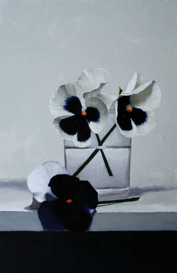 Andrew Thompson, Pansies