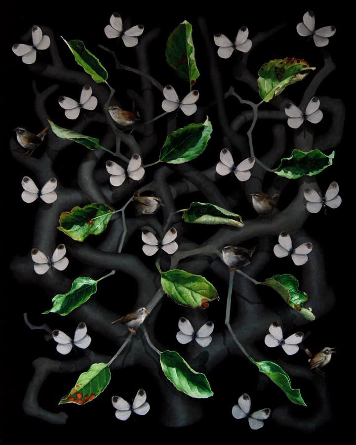 Andrew Thompson, Wrens and Cabbage