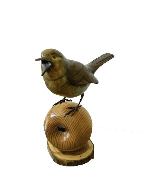 David Meredith, Robin on a Wooden Apple