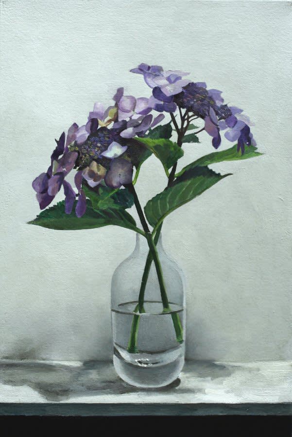 Andrew Thompson, Hydrangeas