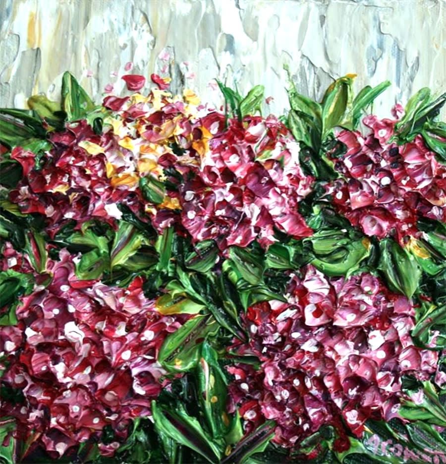 Alison Cowan, Pink Hydrangeas