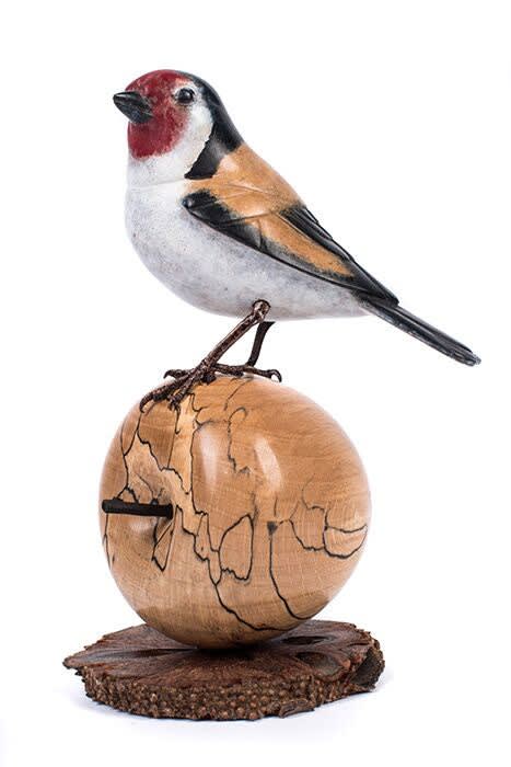 David Meredith, Goldfinch on Apple