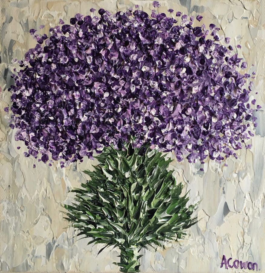Alison Cowan, Purple Mop Top