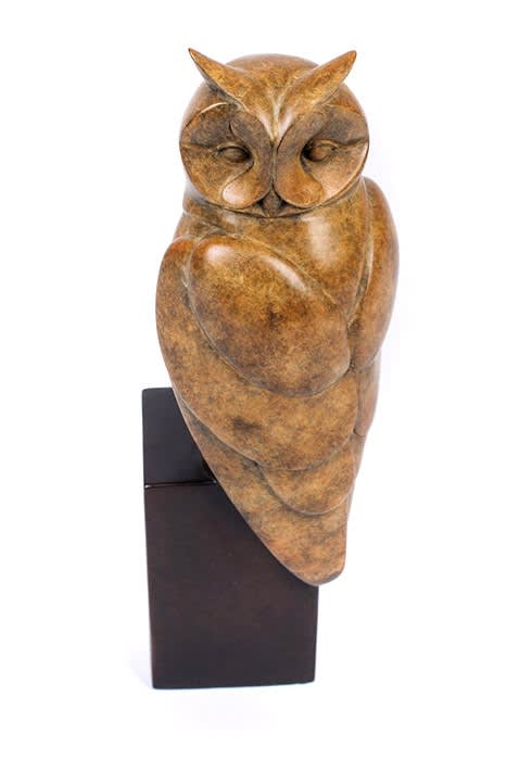 David Meredith, Long Eared Owl