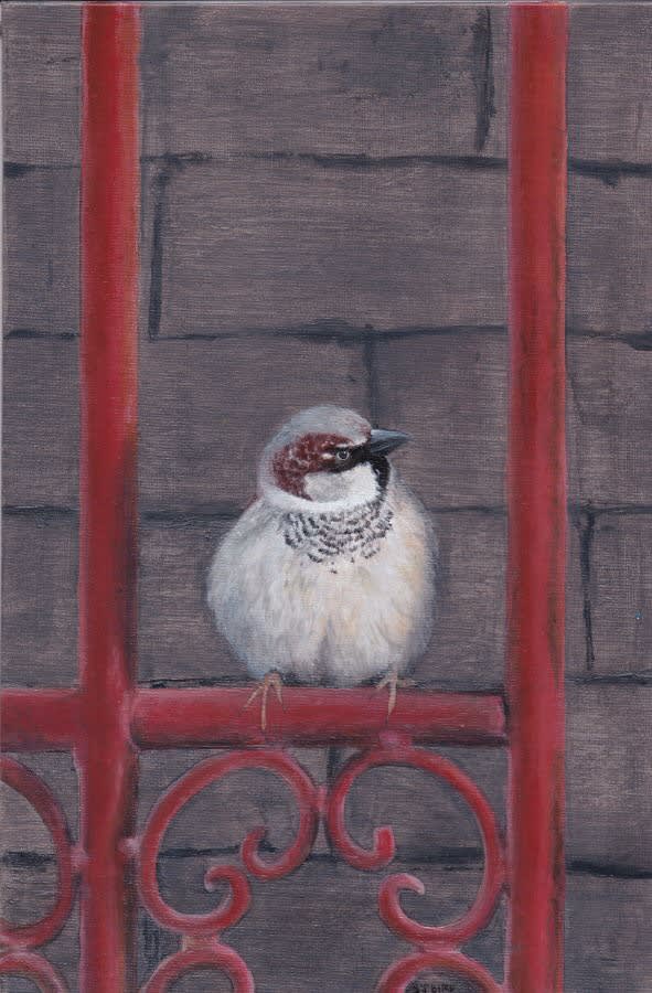 Stanley Bird, Good Morning Sunshine