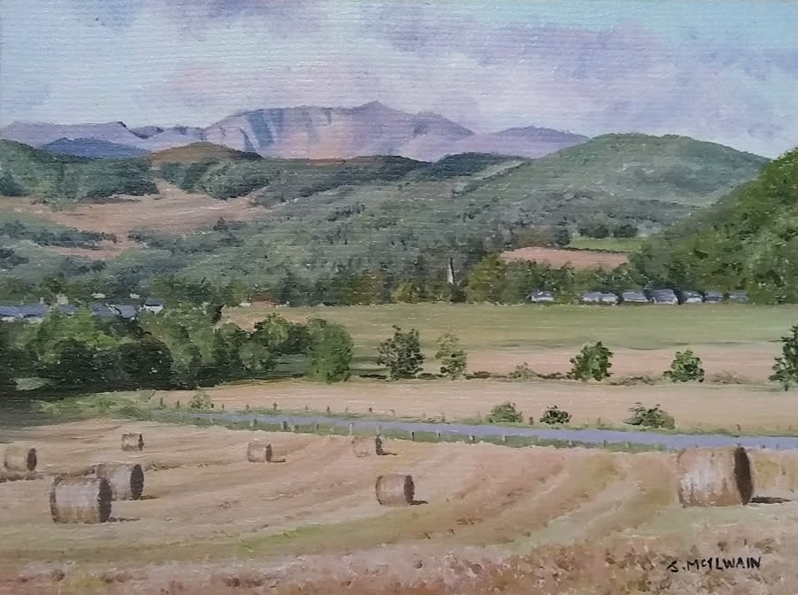 Janice Mcilwain, Harvest Time Near Ballater