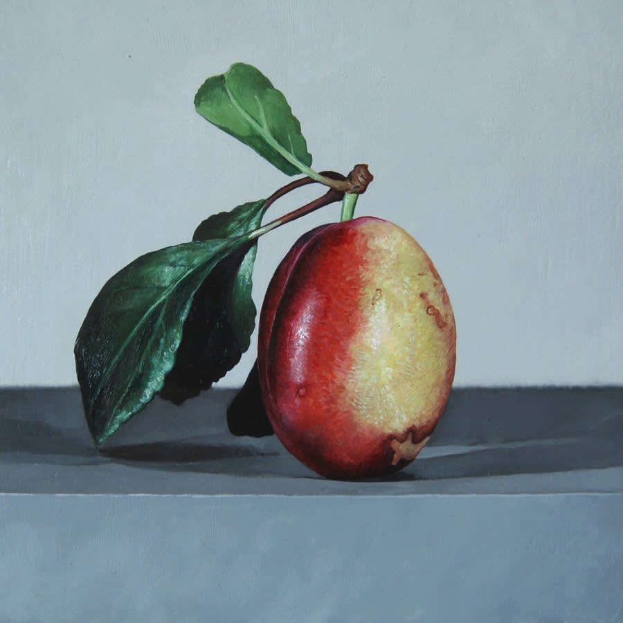 Andrew Thompson, Plum