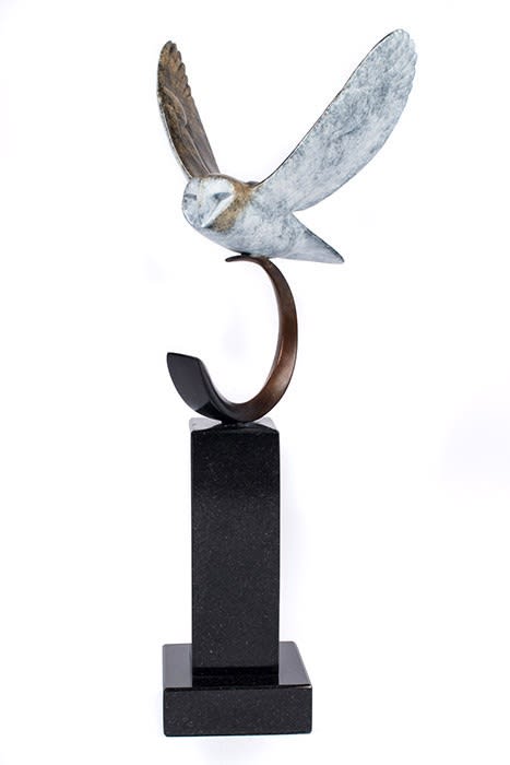David Meredith, Barn Owl Flying