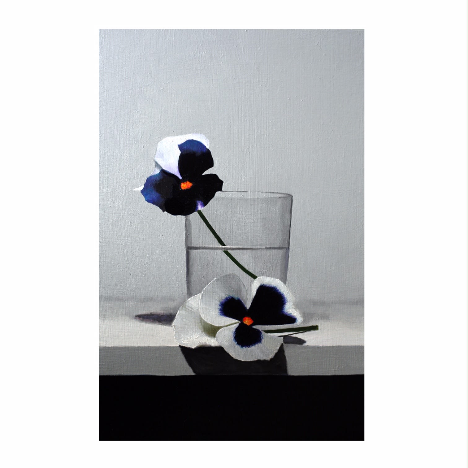 Andrew Thompson, Pansies