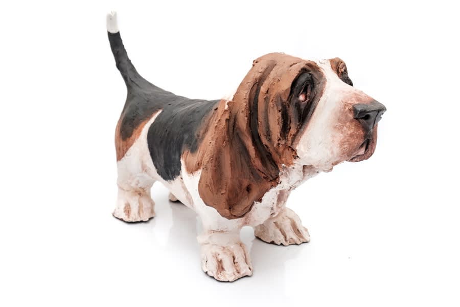 Olivia Brown, Basset Hound