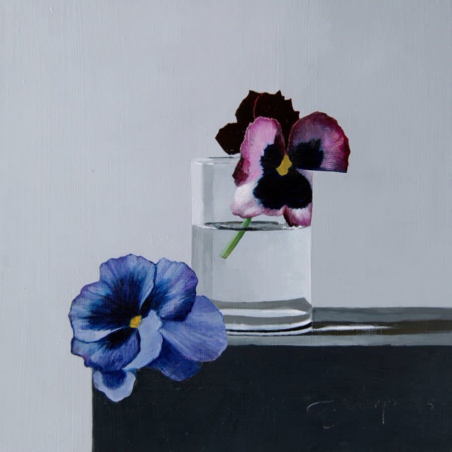 Andrew Thompson, Pansies II