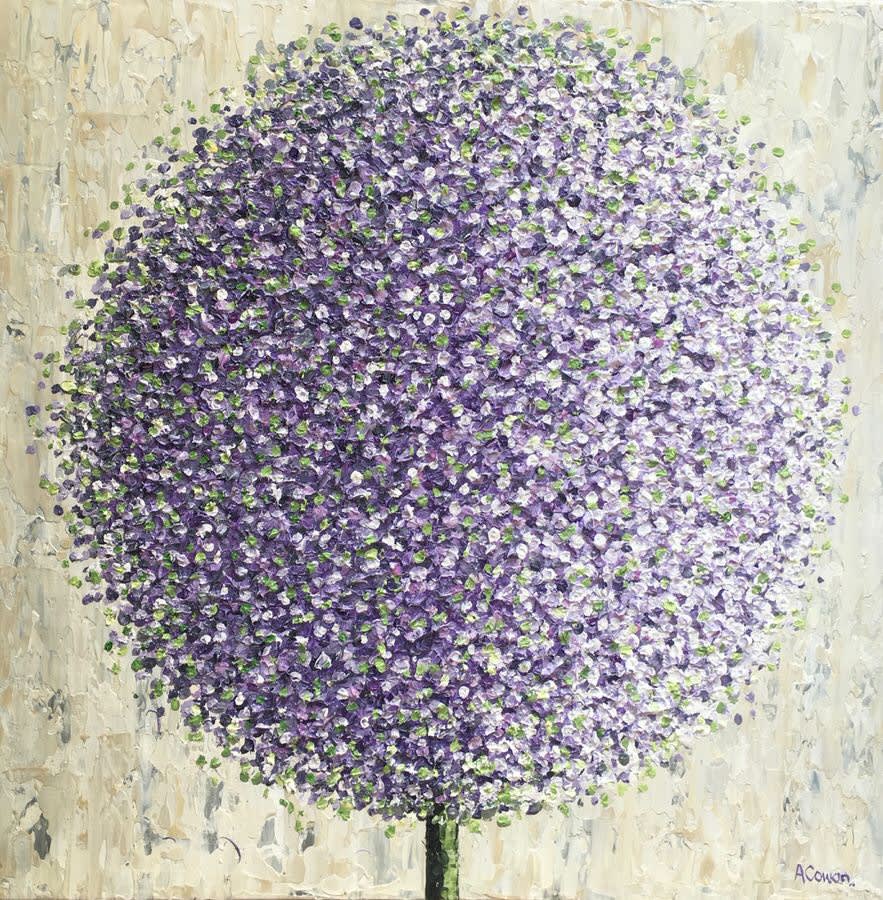 Alison Cowan, Lavender Pom Pom