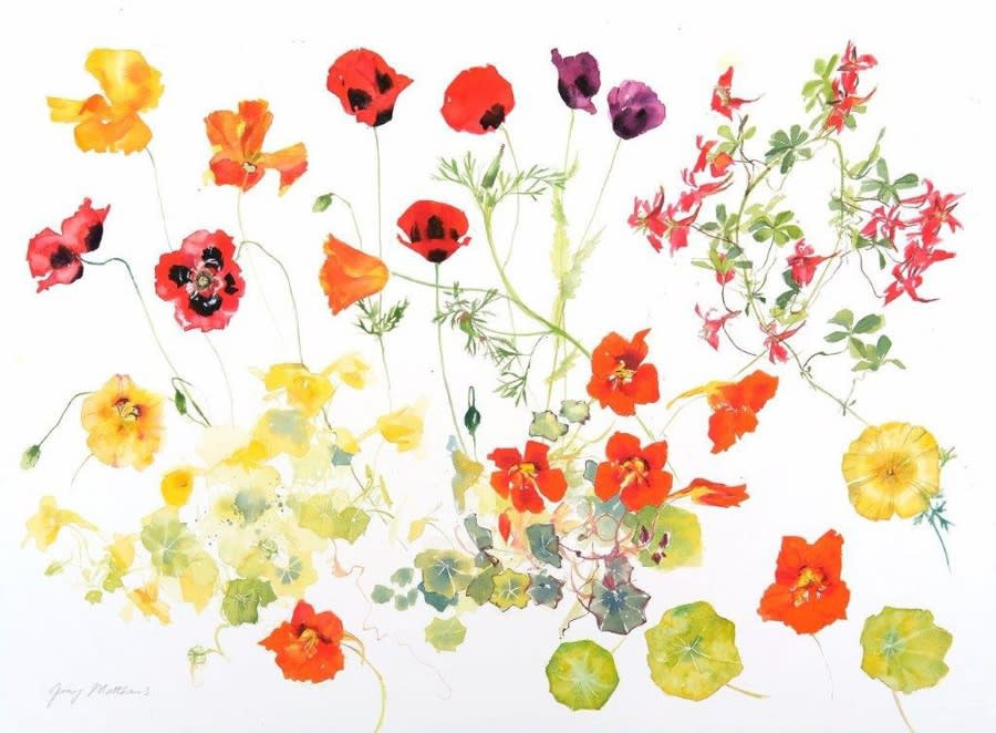 Jenny Matthews, Nasturtiums