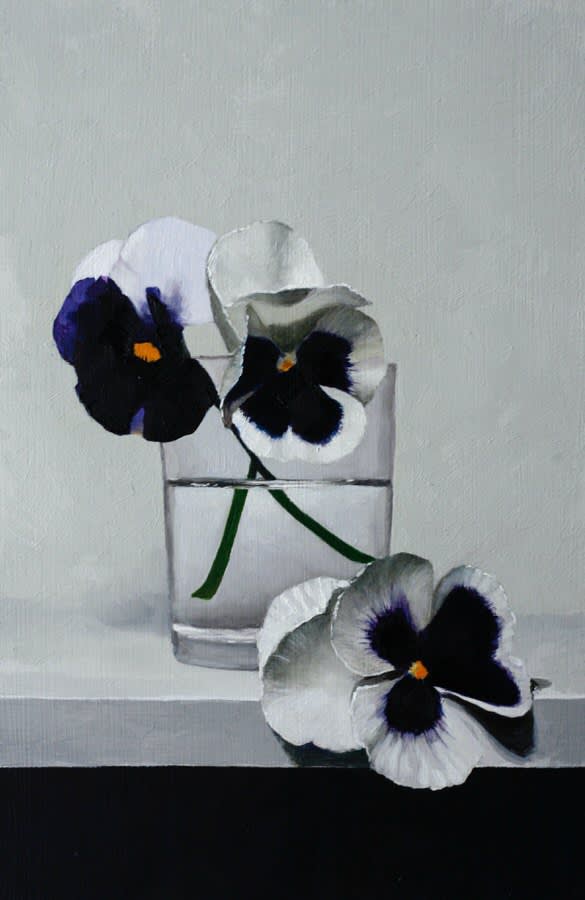 Andrew Thompson, Pansies