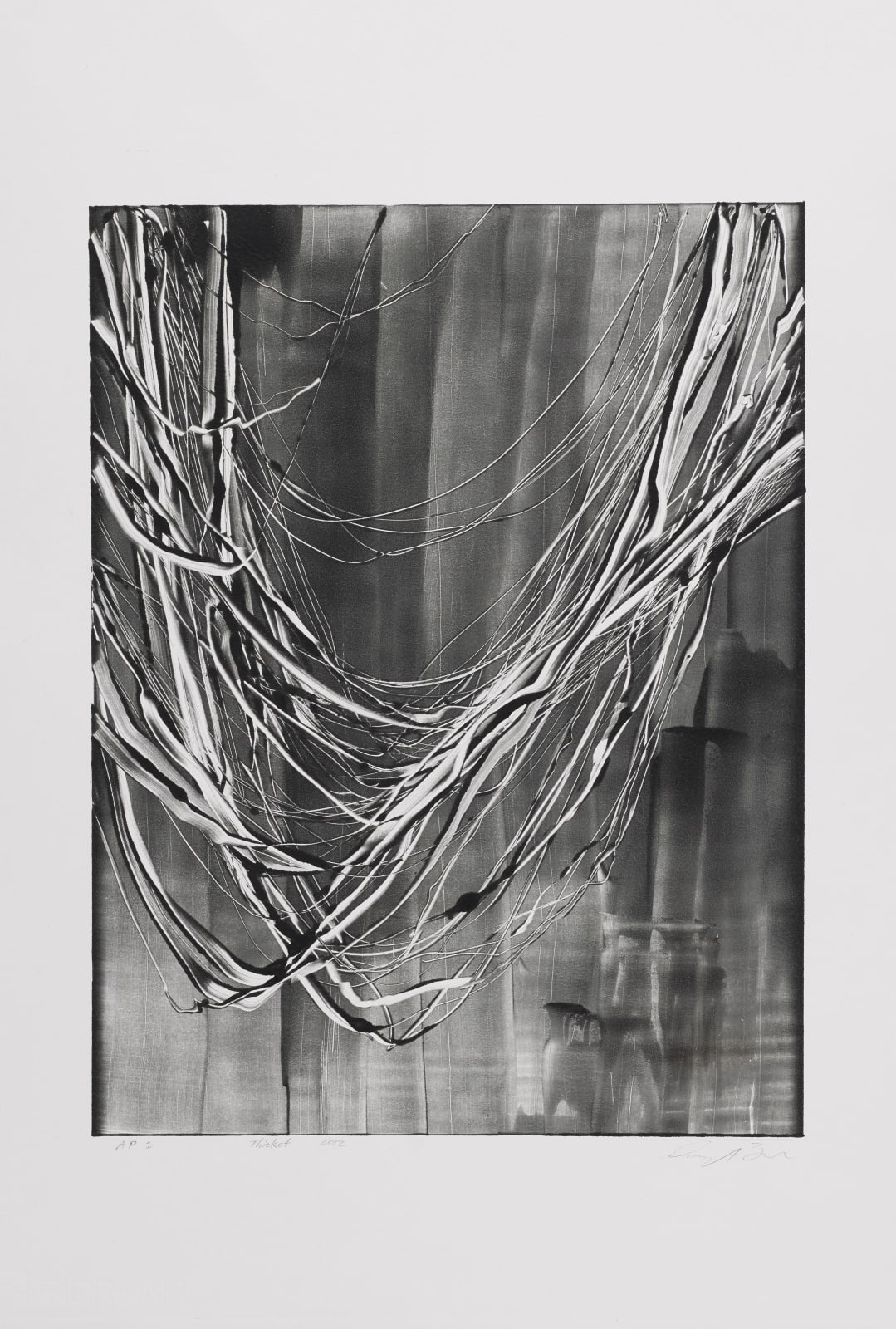 Doug Bosch, Thicket, 2012
