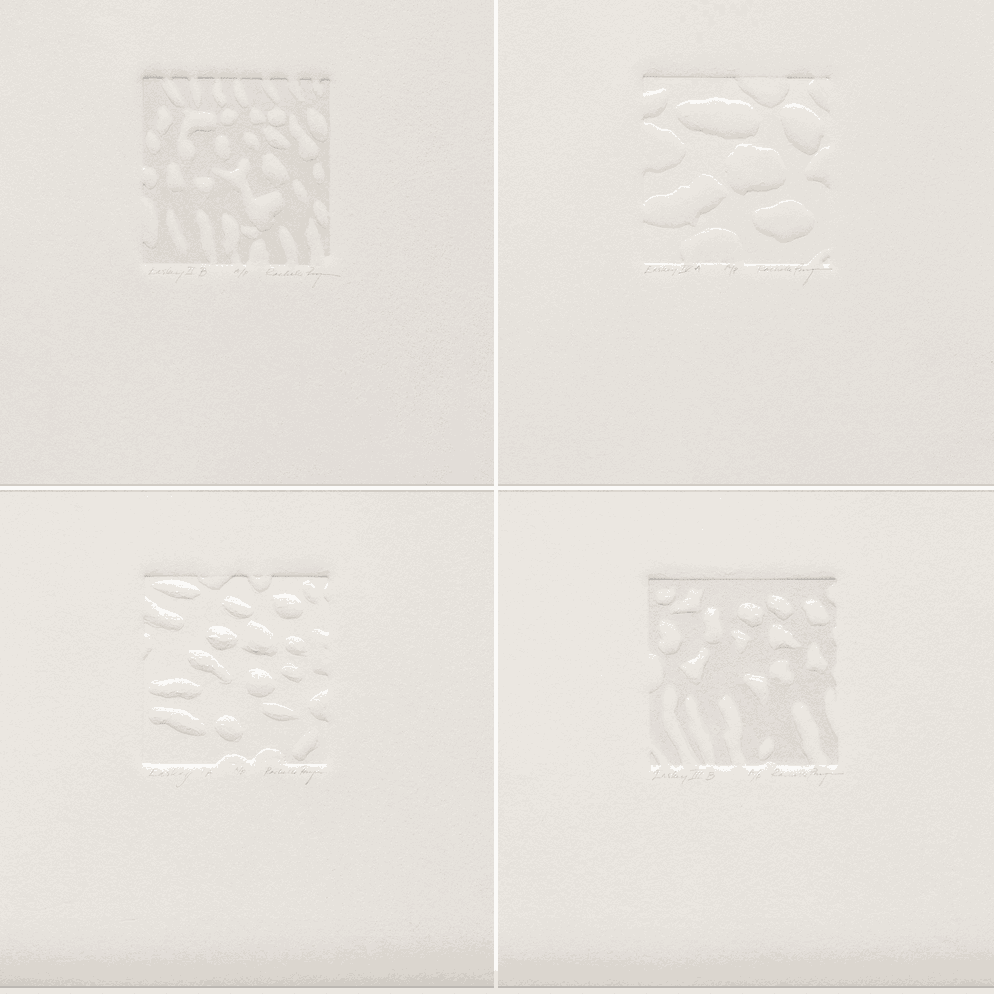 Rachelle Puryear, Stone Studies : A Pilot Project - Easkey I B - IV B, 2011